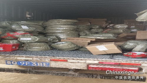 福来翔鸽具宠物用品生产厂